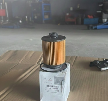 Lọc nhớt (Lọc dầu) Peugeot & Citroen Chính Hãng
