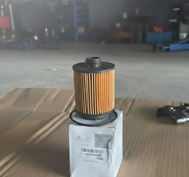 Lọc nhớt (Lọc dầu) Peugeot & Citroen Chính Hãng